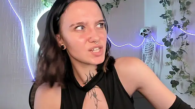 Elastikisss webcam