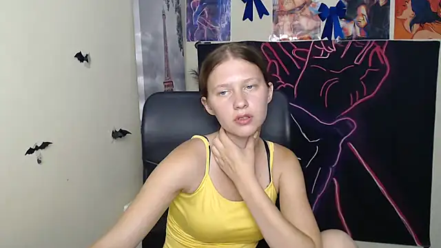 StellaCRL webcam