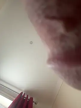 Primalking webcam