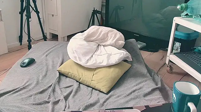 CeriseLapine webcam