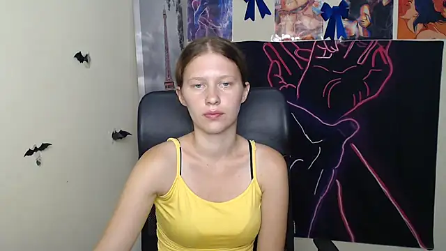 StellaCRL webcam