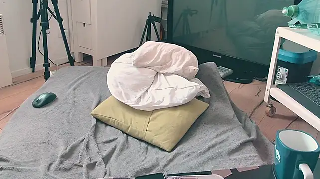 CeriseLapine webcam