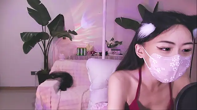 542182 webcam