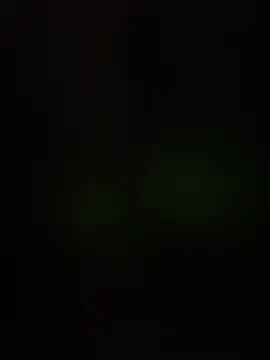 BellaThread webcam
