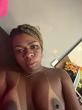 Priihmedeiros webcam