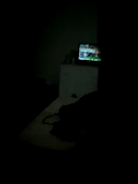 Leonildo2026 webcam