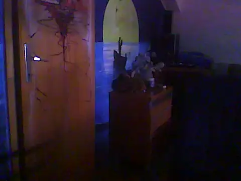 Dejanaceking webcam