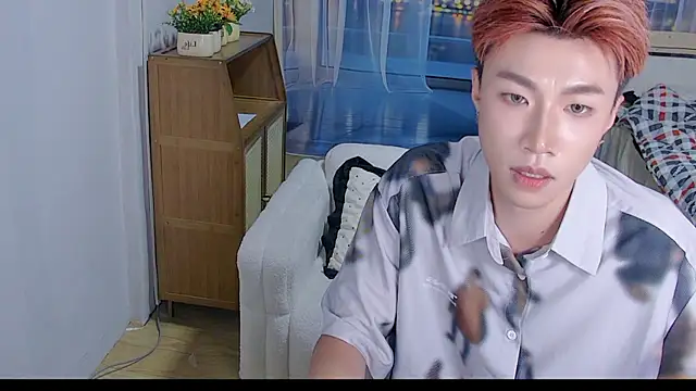 An-X888 webcam