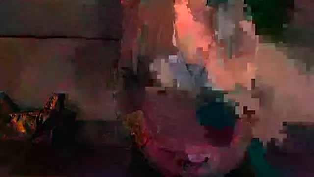 VenusX webcam