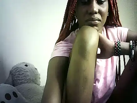 DelteAfriq webcam