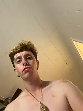 twentywithafelonyy webcam