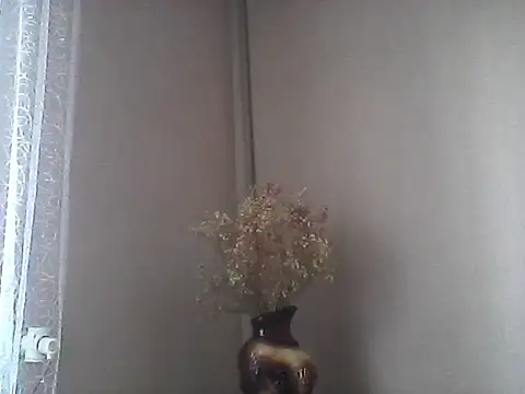 Littlecatme webcam