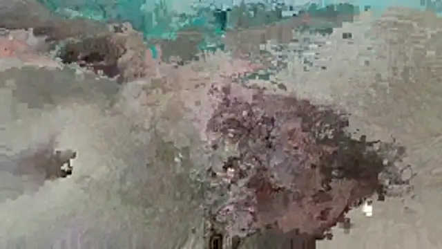 DAVIDLECOCHON5767 webcam