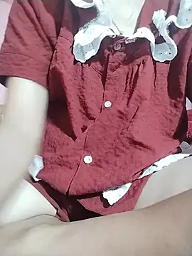 Wily-06 webcam