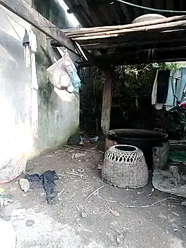 Diana_hi webcam