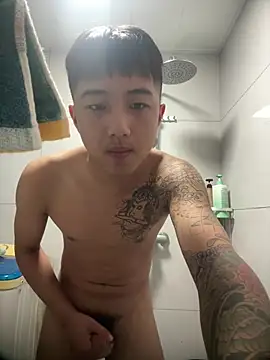 8k6660 webcam