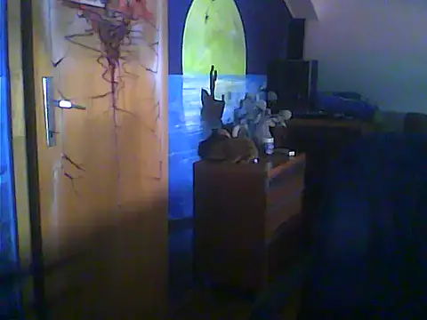 Dejanaceking webcam