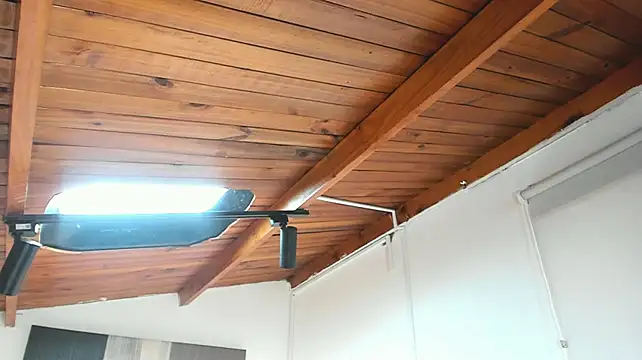 laylavg webcam