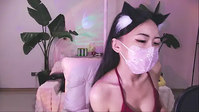 542182 webcam