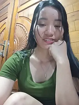 Td3di webcam