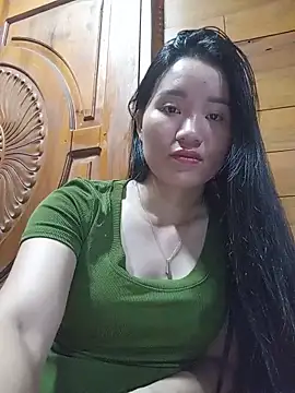 Td3di webcam