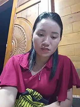 Td3di webcam