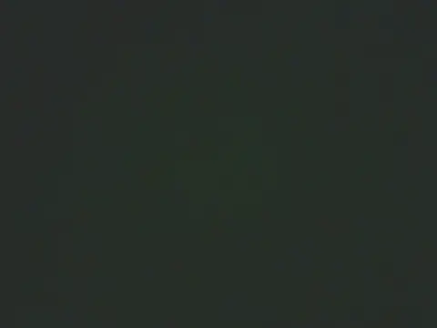 MarthaBriest webcam