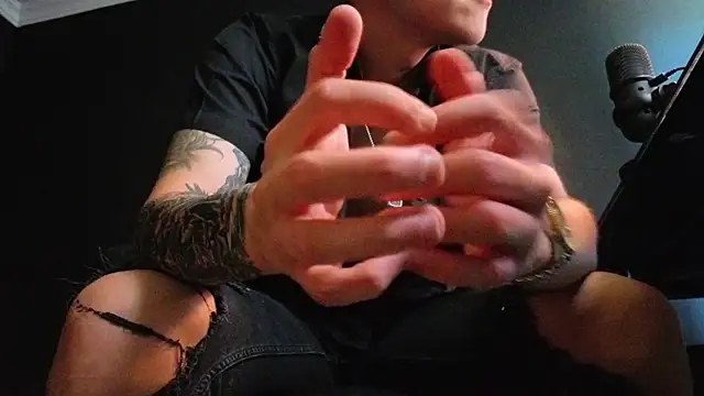 FelixStarkk webcam