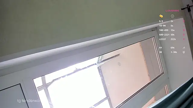 Tenderalise webcam
