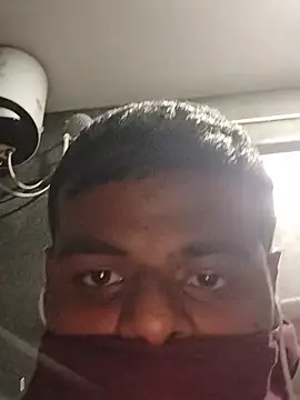 sissybar