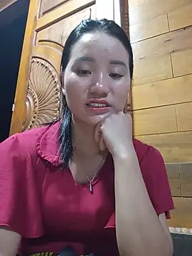 Td3di webcam
