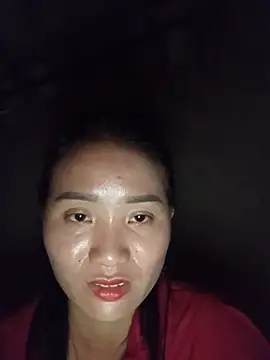 Td3di webcam