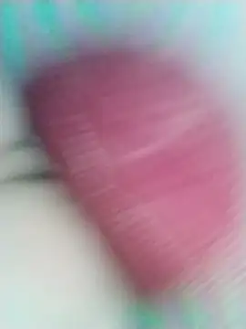 lamasrica20 webcam