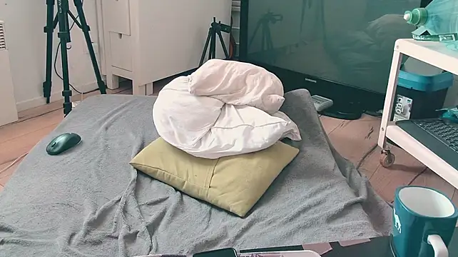 CeriseLapine webcam