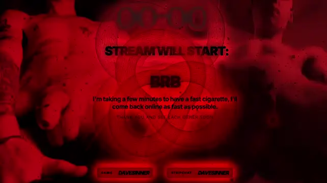 davesinner webcam