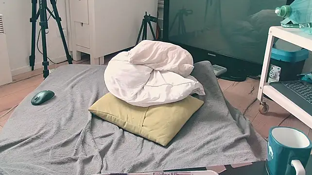 CeriseLapine webcam