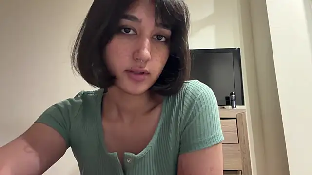 PaintedDisplay webcam