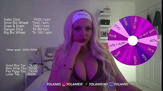 yolamei webcam