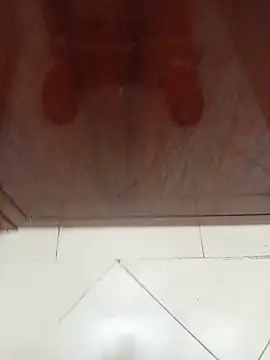 misterpanika webcam