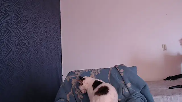 Freyja_eter webcam