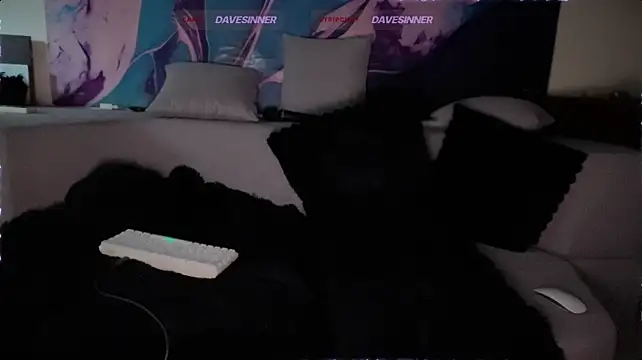 davesinner webcam