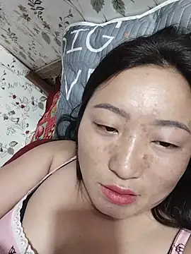 zhen-zo webcam
