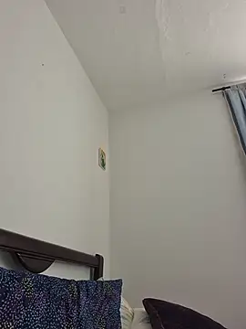 IrisBound webcam