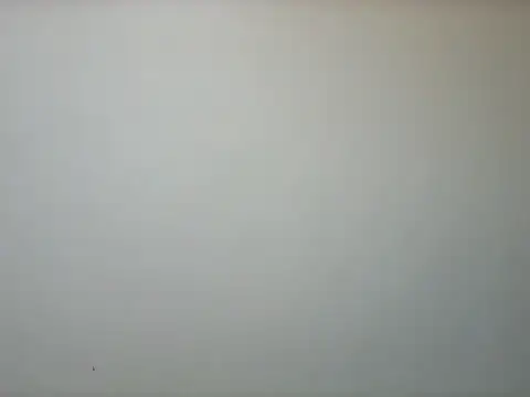 Bootyqueen254 webcam