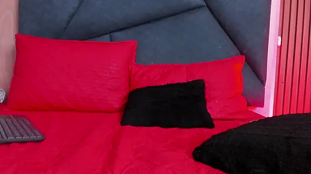 LaurentFerrer webcam