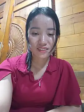 Td3di webcam