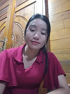 Td3di webcam