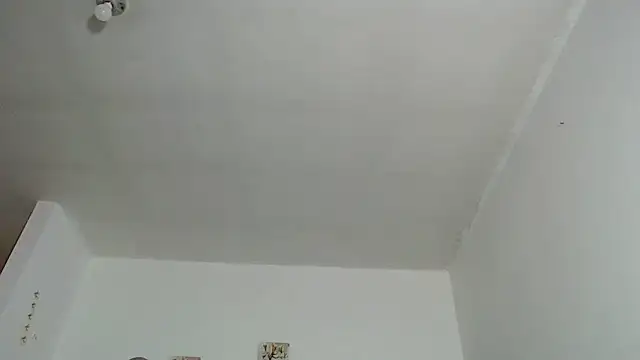 Lunadool webcam