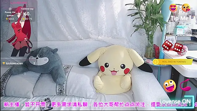 xaryu webcam