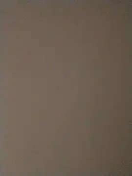 Shevon098 webcam